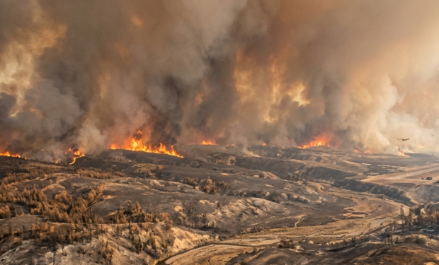 Caldo estremo, WWF: “L’Italia in ginocchio per la crisi climatica, governo e politica fanno finta di niente”